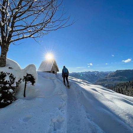 Chalet Hike&Bike Above Bohinj Valley Buitenkant foto