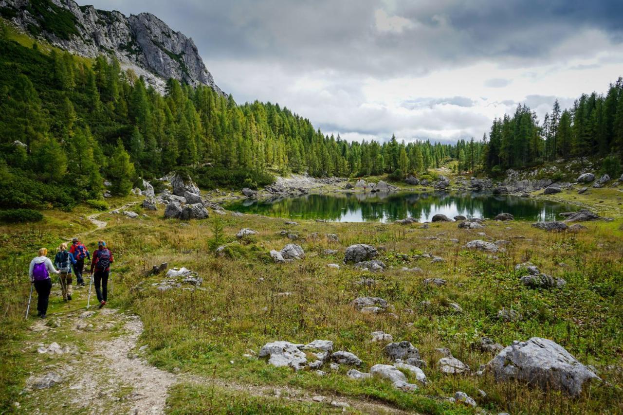Chalet Hike&Bike Above Bohinj Valley Buitenkant foto
