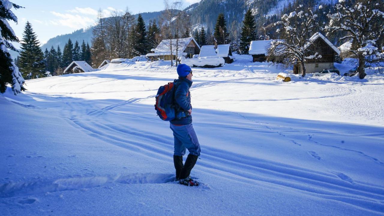 Chalet Hike&Bike Above Bohinj Valley Buitenkant foto