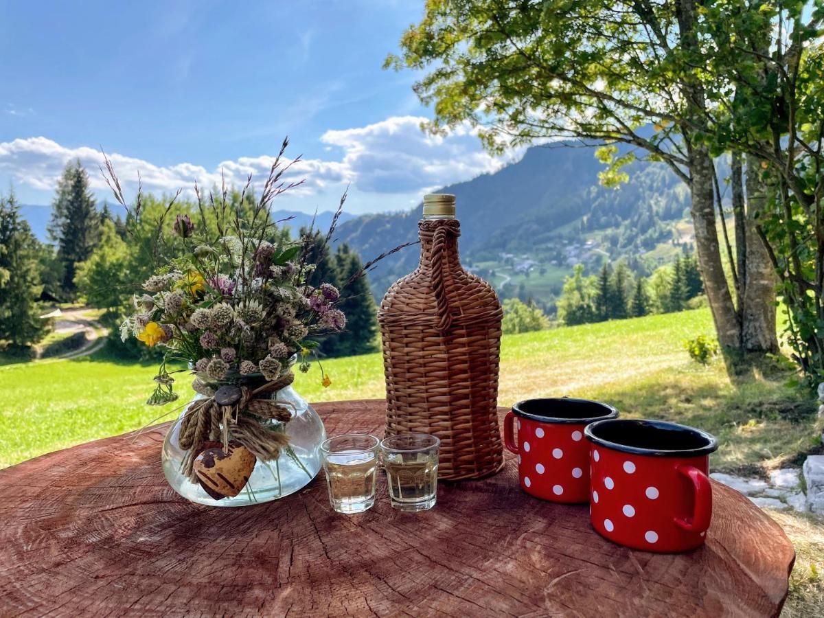 Chalet Hike&Bike Above Bohinj Valley Buitenkant foto