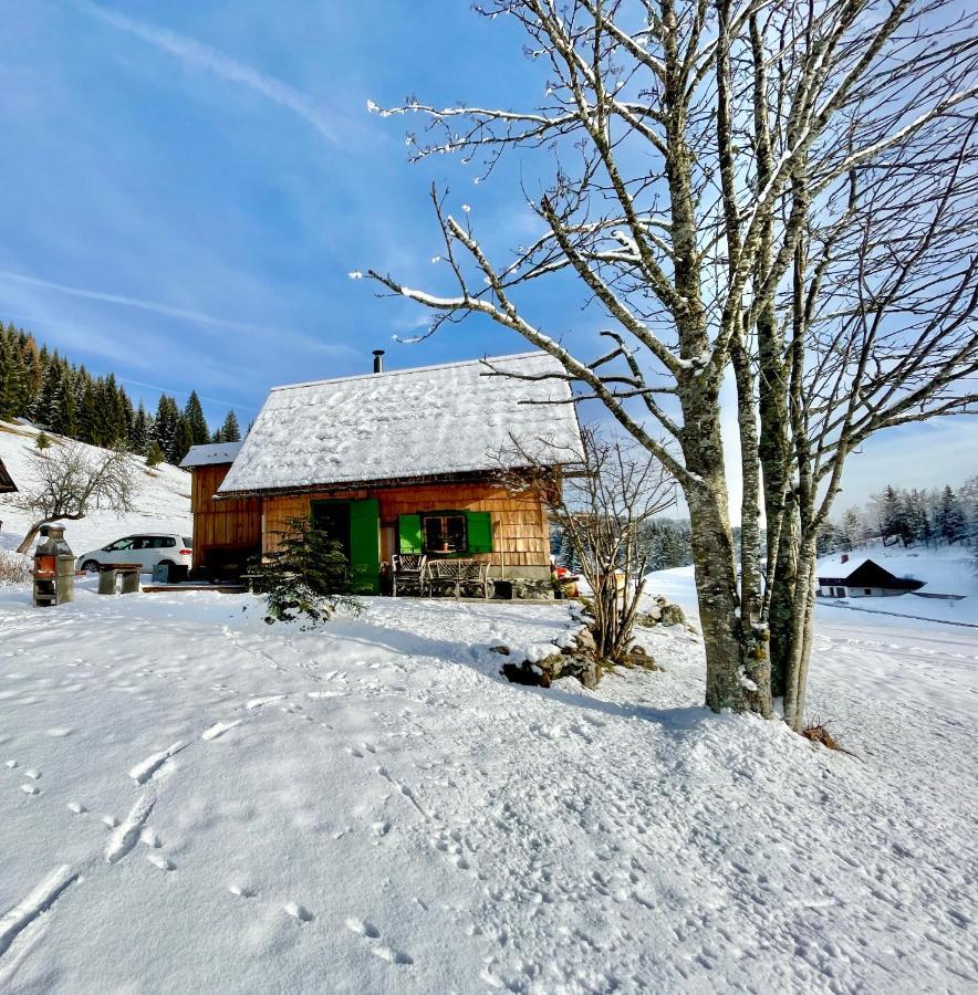 Chalet Hike&Bike Above Bohinj Valley Buitenkant foto